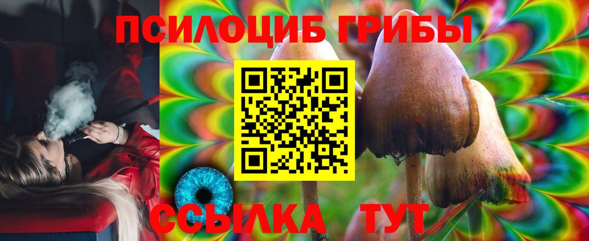 Псилоцибиновые грибы мухоморы Минеральные Воды