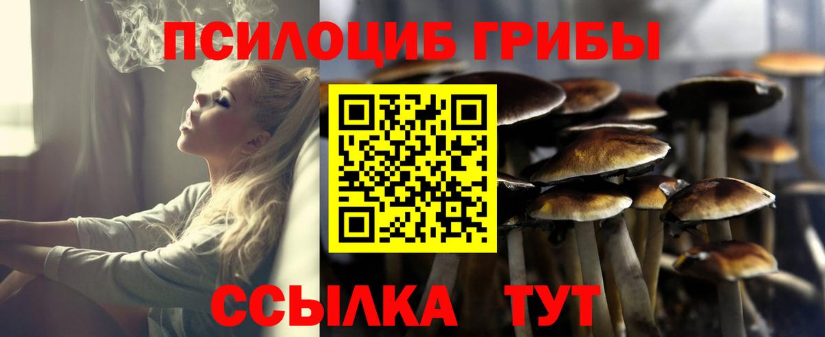 Псилоцибиновые грибы Psilocybe  Вход с VPN  Минеральные Воды  Галлюциногенные грибы MAGIC MUSHROOMS 